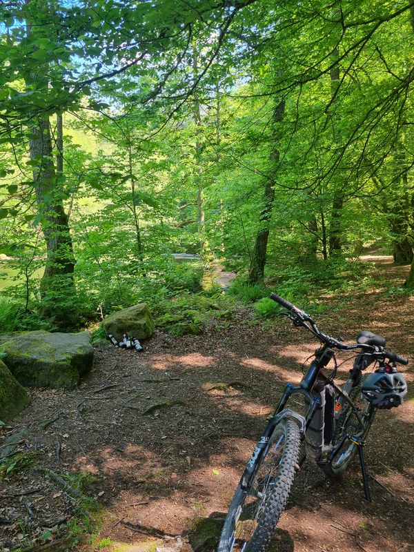 Bad Wildbad nach Tamm