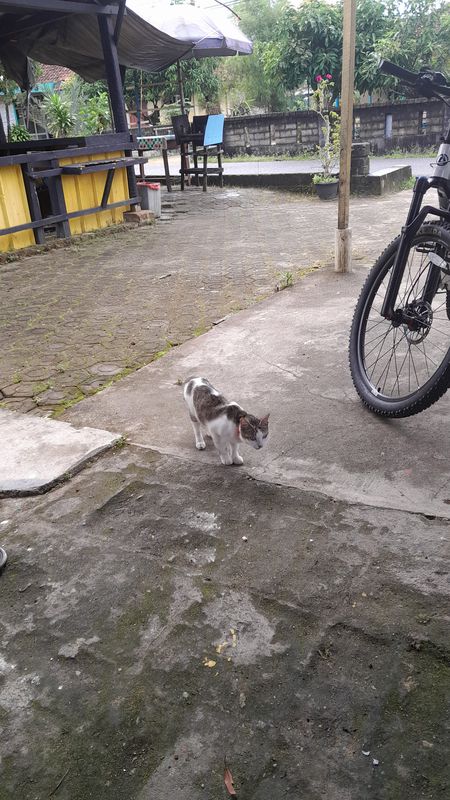 Relaxed route