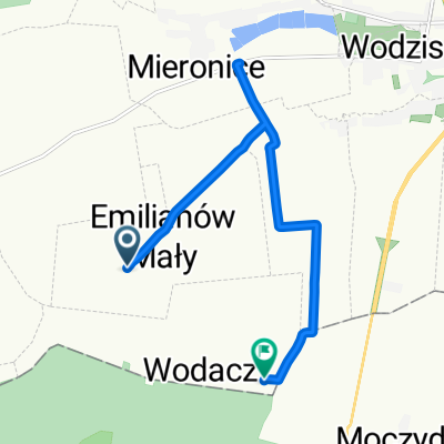 Emilianów Duży, Wodzisław do Wodacz 5, Wodzisław