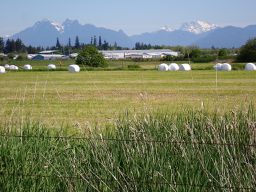 Bellingham to Vancouver