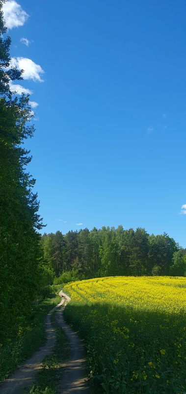 Заслаўе - Сялец - Браўкі - Сялюты - Сёмкава - Лапаравічы - Заслаўе - Ратамка - Ждановічы