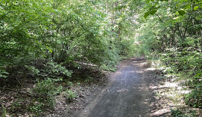 Photo 1 of the Bikemap route "Sződ-Vácrátót-Göd-Sződ"
