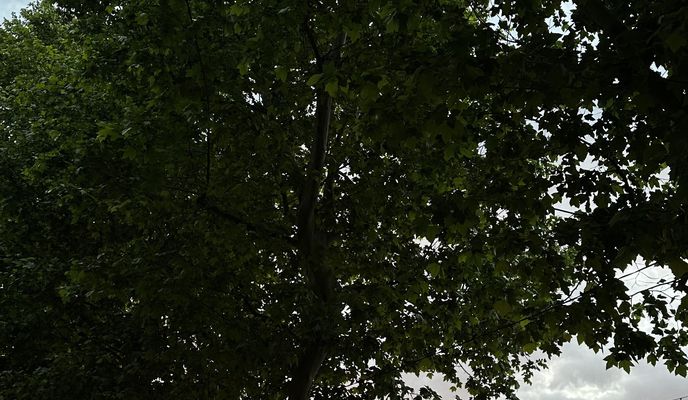 Foto 2 der Bikemap-Route "улица Цезаря Куникова, 24 к3, Краснодар до улица Цезаря Куникова, 24 к3, Краснодар"