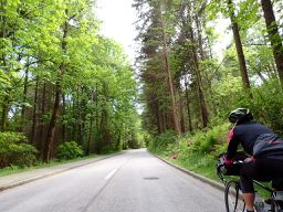 Central Lonsdale - Circle to Stanley Park
