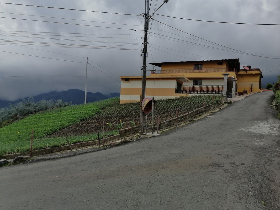 De Medellín-San Pedro, La Palma a Medellín-San Pedro