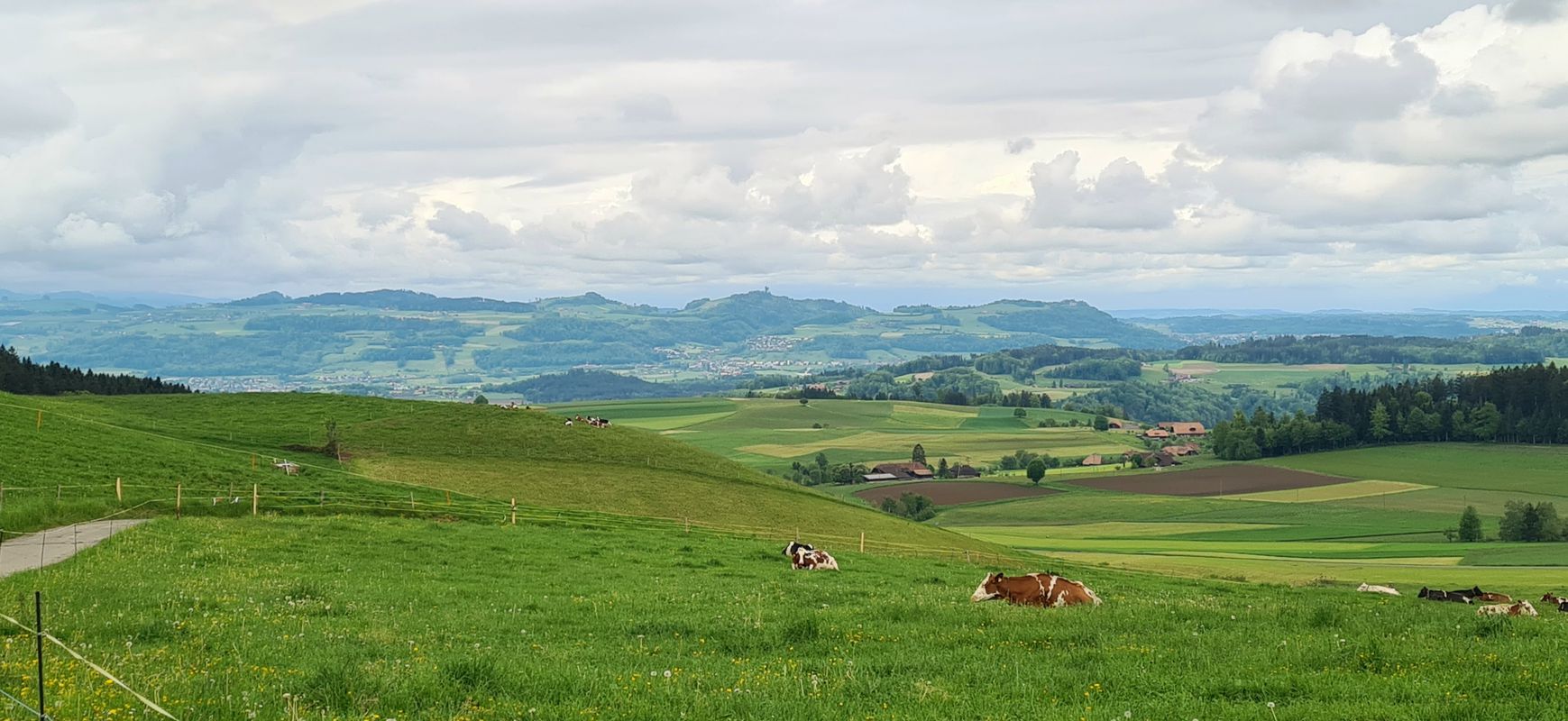 Burgdorf-Luterbach-Mänziwilegg-Bern