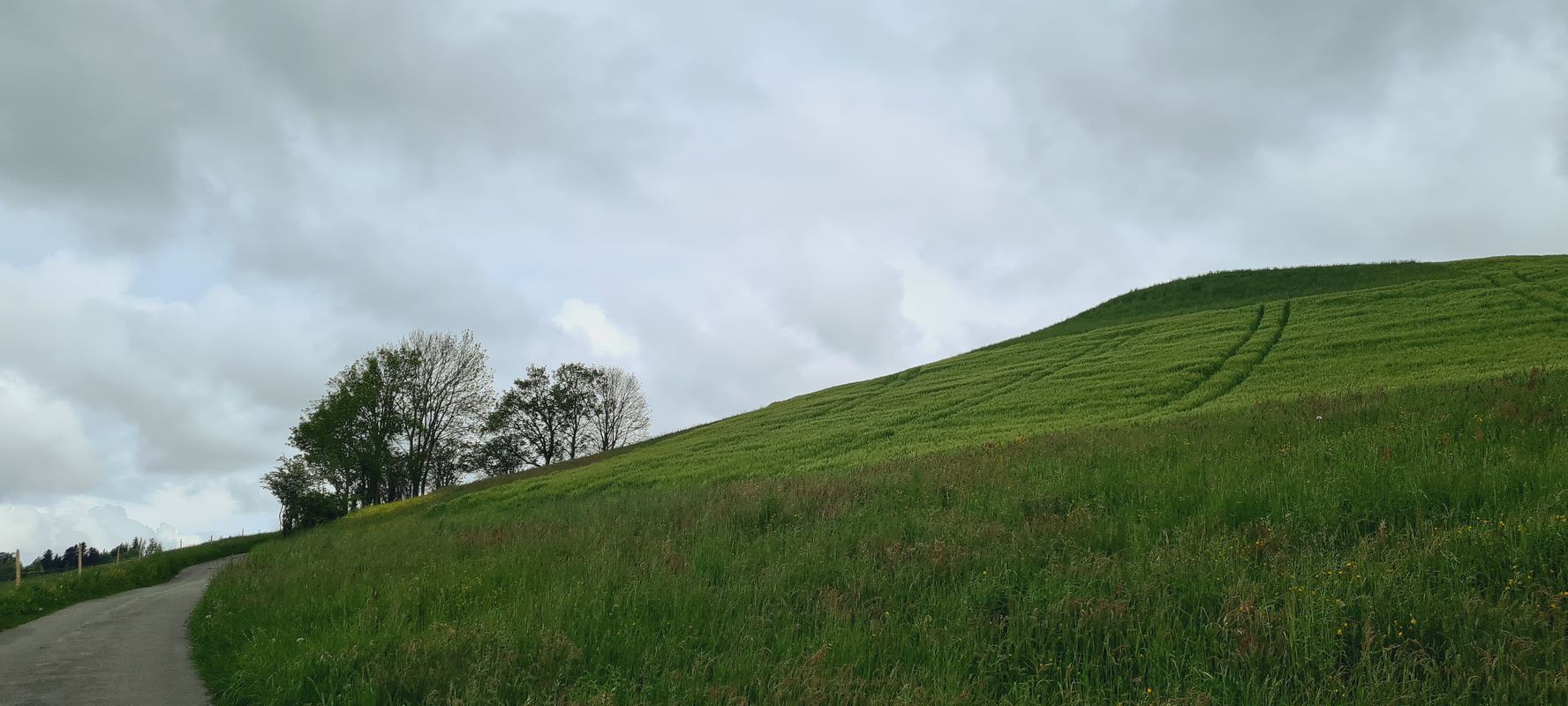 Burgdorf-Luterbach-Mänziwilegg-Bern