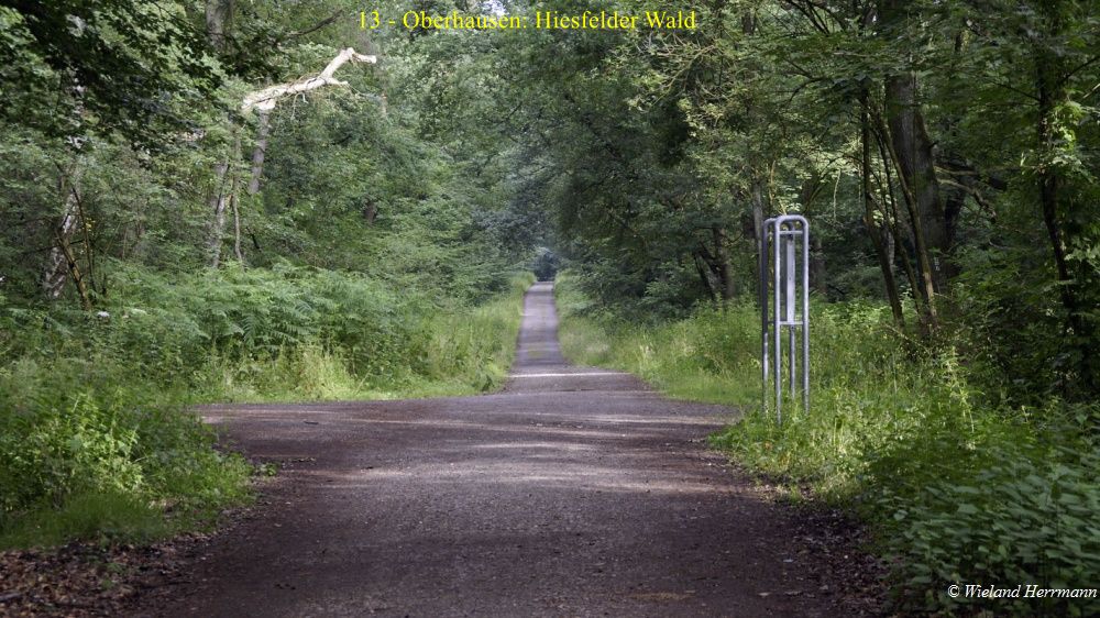 Grüner Pfad - HOAG-Trasse - Hühnerheide - Hiesfelder Wald