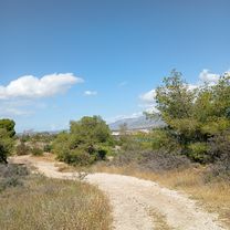 Photo 8 of the Bikemap route "Βόλτα σε Άγιο Νικόλαο - Φανερωμένη - Στενό; - Ψιλή Άμμο - Κέντρο Σαλαμίνας - Baristi (19 Απριλίου)"