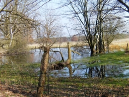 Highlight 7 along the Bikemap route "Königs Wusterhausen - Strausberg"