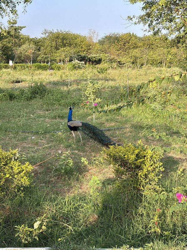 Sargasan, Gandhinagar to Megha Malhar Road, Gandhinagar