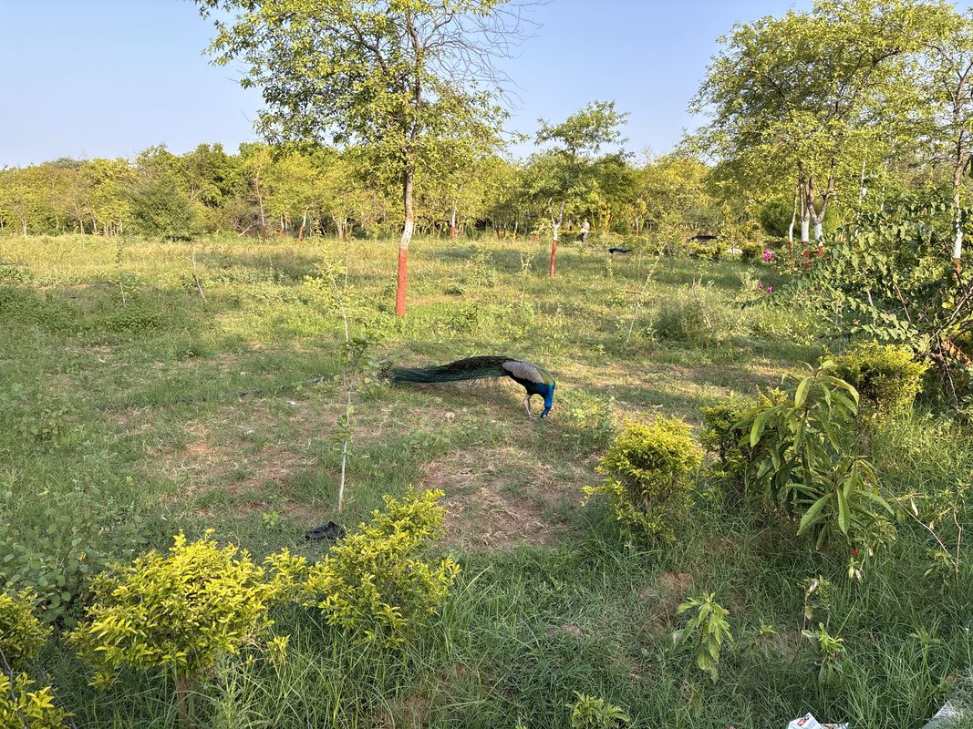 Sargasan, Gandhinagar to Megha Malhar Road, Gandhinagar