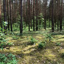 Brodnica-Jezioro Forbin