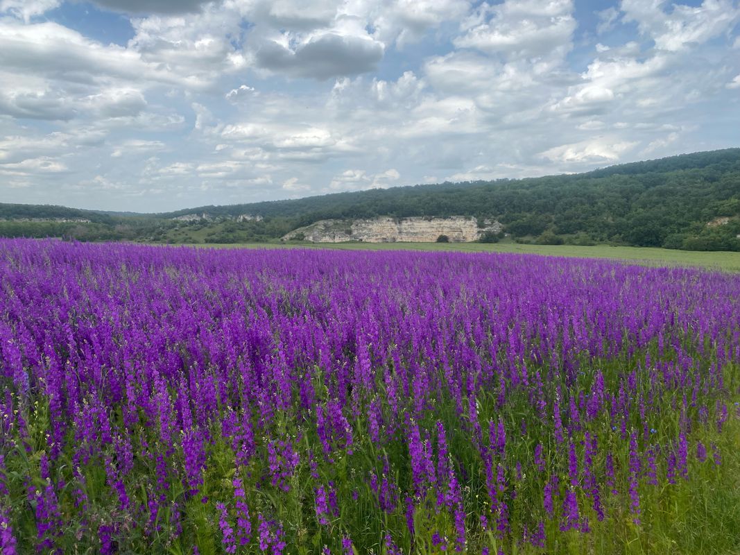 mănăstirea strunga - Lacul Oltina - Izvoarele - Cuiugiuc - Canaraua Feti