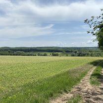 Photo 7 of the Bikemap route "Sződ-Göd-Őrbottyán-Vácrátót-Sződ"