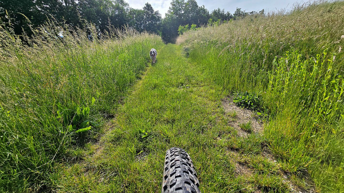 Vipava loop