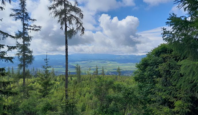 Zdjęcie 2 trasy Bikemap „Štrba to Spišská Nová Ves”