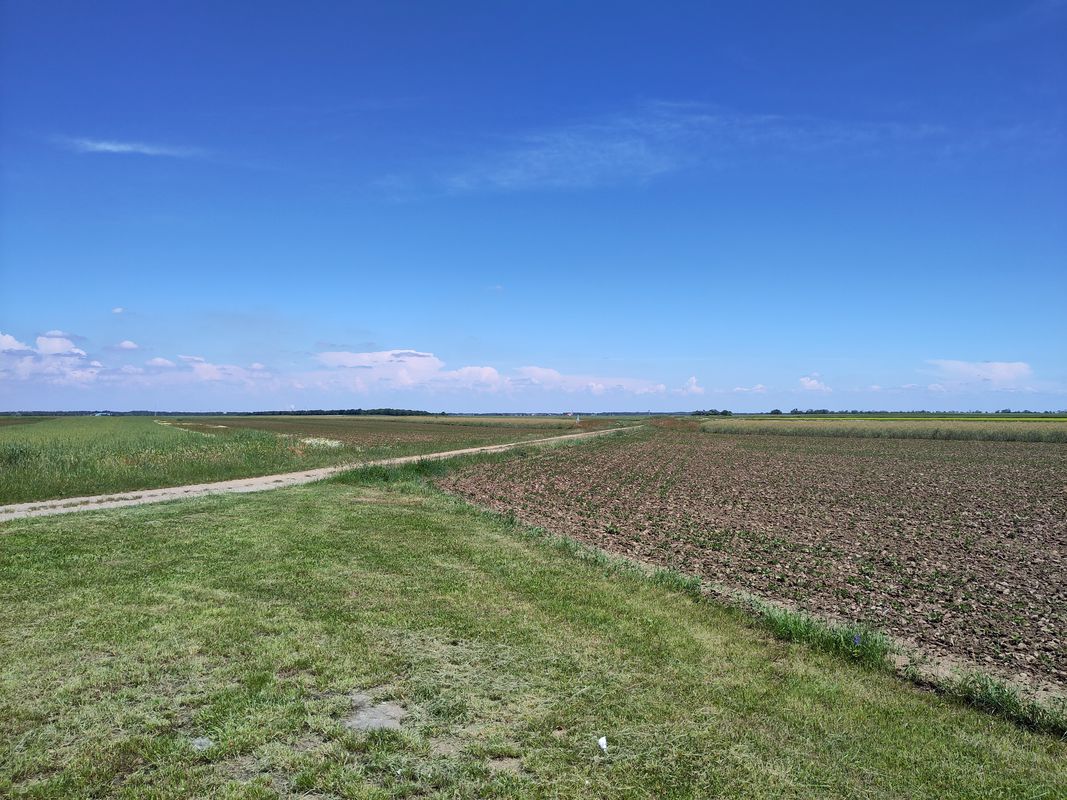 Wolfsthal Bahnhof - EuroVelo/Heideradweg - Weiden am See