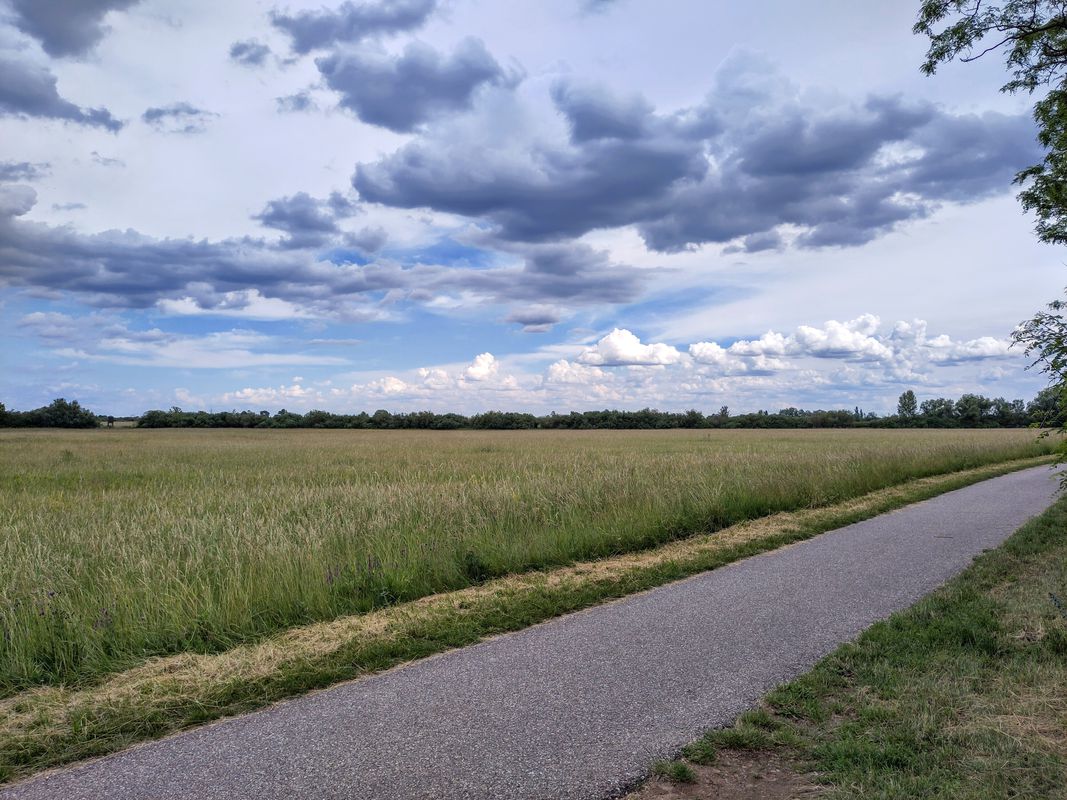 Wolfsthal Bahnhof - EuroVelo/Heideradweg - Weiden am See