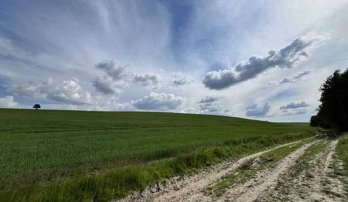 Photo 1 of the Bikemap route "Rzerzęczyce do Zalew Kryspinów"