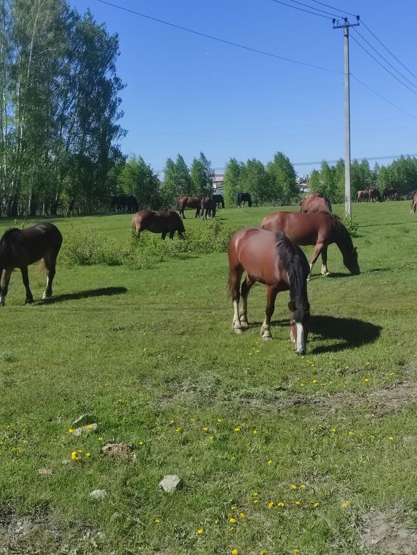 солнечный карьер - Кременкуль