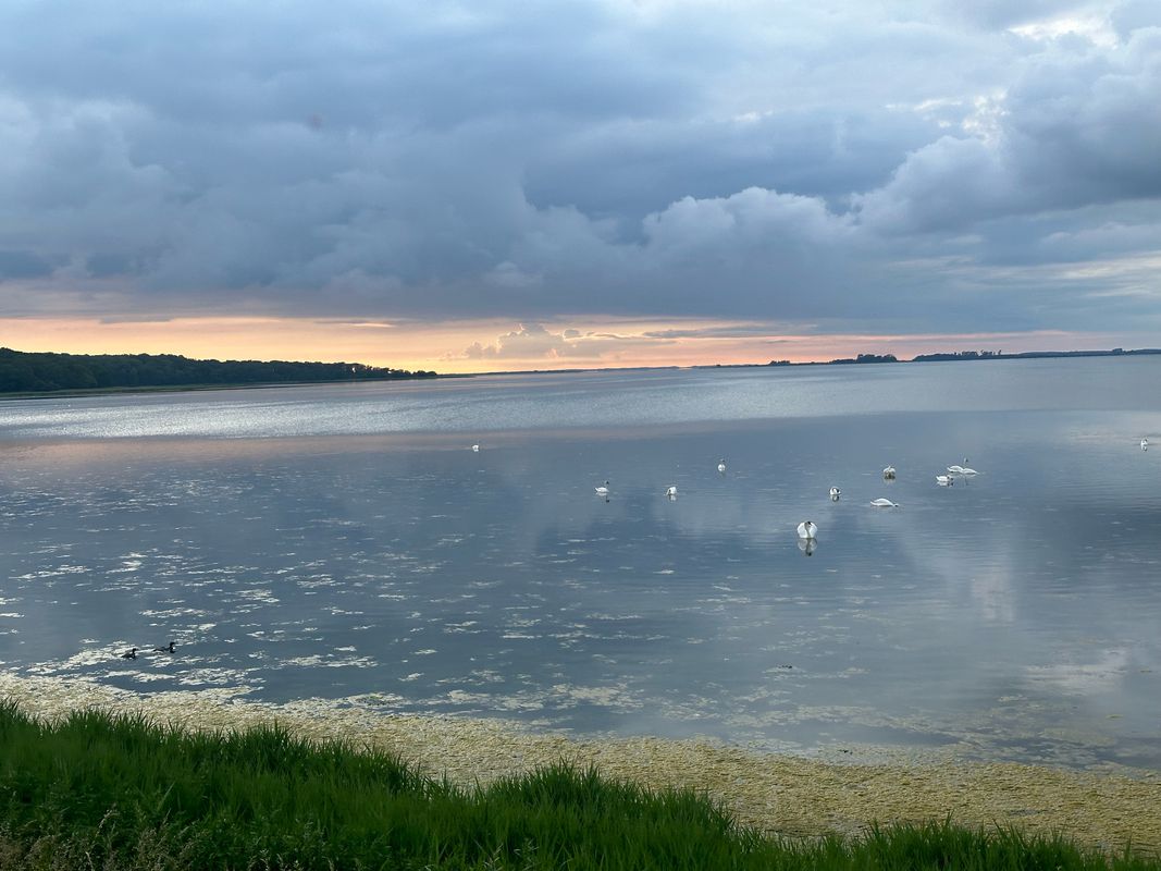 Tårs to Langø