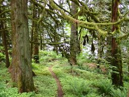 Chilliwack - Circle to Canadian-US border via Lake Cultus, Henderson Rd, and Maple Falls Rd.