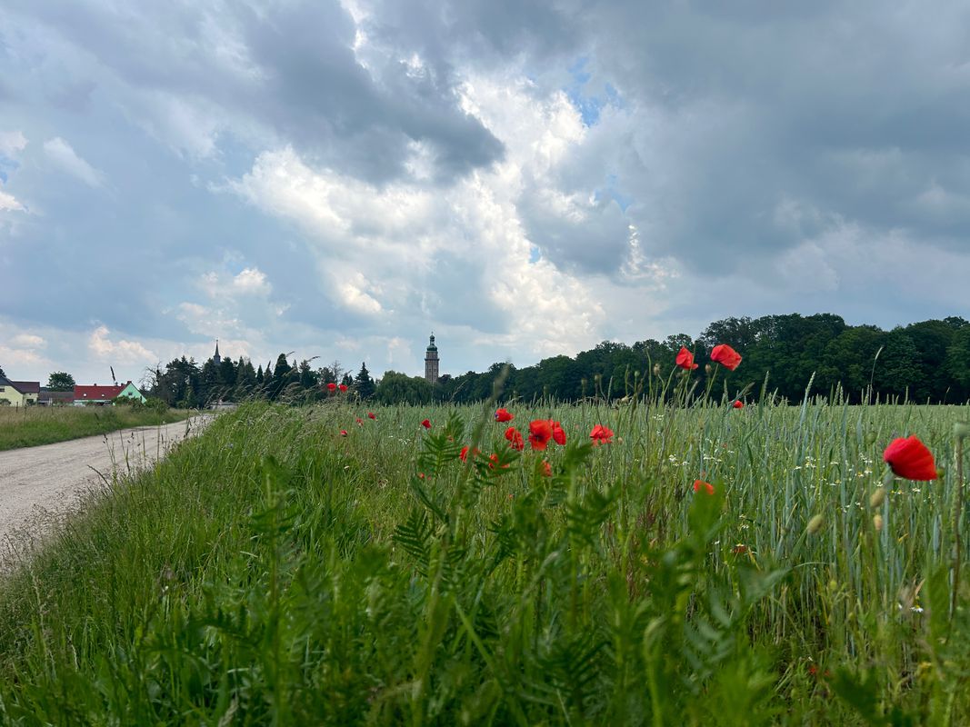 Lausiger Teich-Stausee Dahlenberg-Söllichau-Reinharz-Lausiger Teich