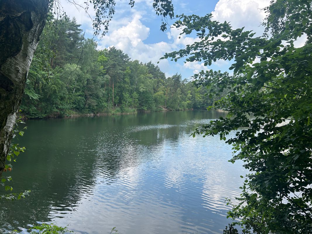 Lausiger Teich-Stausee Dahlenberg-Söllichau-Reinharz-Lausiger Teich