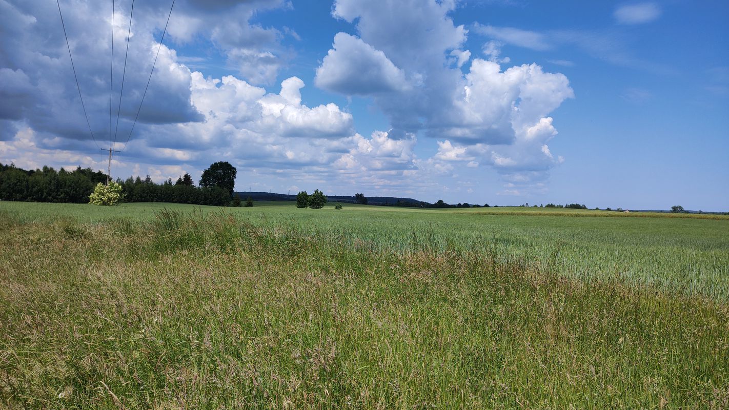 Głupia aplikacja obcięła mi trasę 🤬