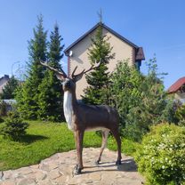 Photo 4 of this route