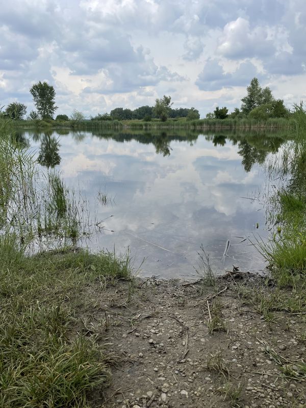 Košúty 674, Košúty až Košúty 674, Košúty