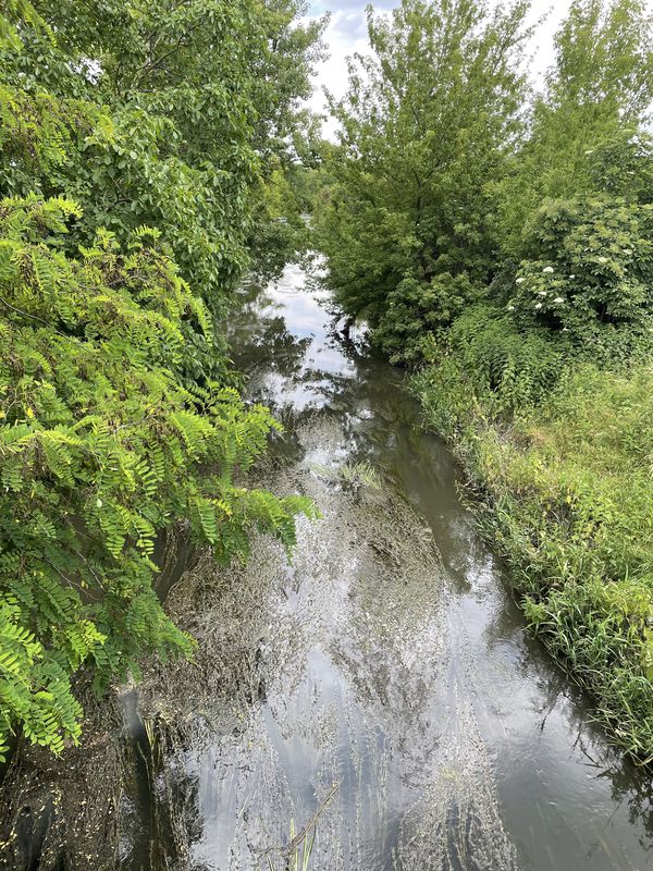 Košúty 674, Košúty až Košúty 674, Košúty