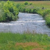 L511 48, Dissen-Striesow nach Ringchaussee 113, Burg (Spreewald)