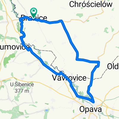 Branice - Opawa - Uciechowice - Niekaz. krzyż. - Branice