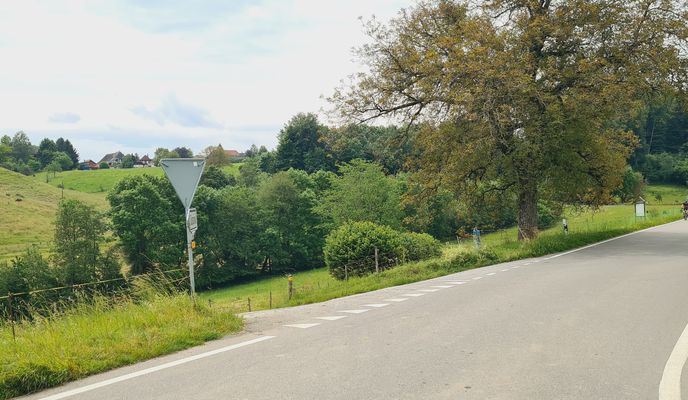 Foto 2 der Bikemap-Route "Jegenstorf-Bangerten-Grächwil Runde" Foto 2 der Bikemap-Route "Jegenstorf-Bangerten-Grächwil Runde"