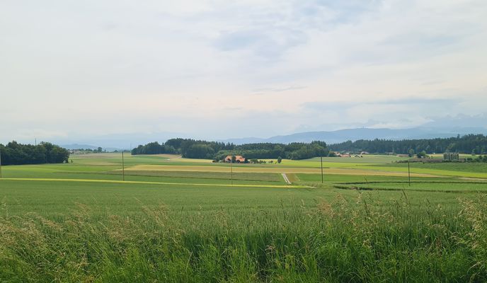 Foto 1 der Bikemap-Route "Jegenstorf-Bangerten-Grächwil Runde" Foto 1 der Bikemap-Route "Jegenstorf-Bangerten-Grächwil Runde"