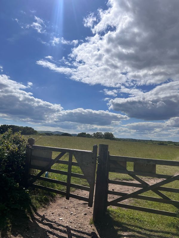 Parkstone to Wareham Cycle ( RSPB Arne)