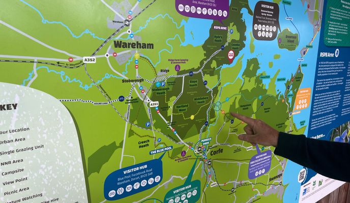 Photo 2 of the Bikemap route "Parkstone to Wareham Cycle ( RSPB Arne)"