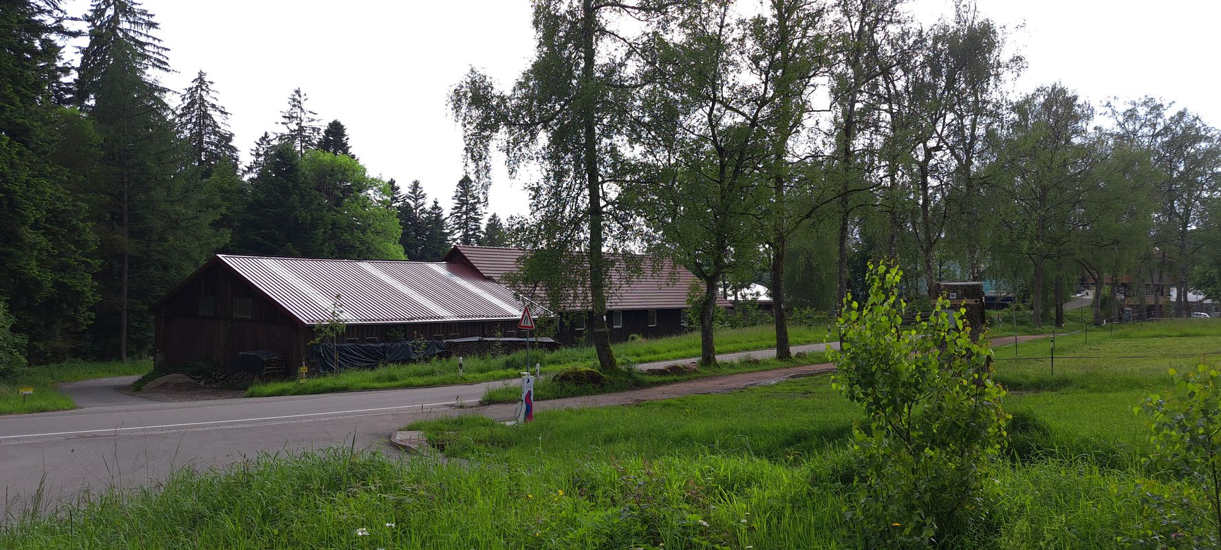 Schiltach - Schömberg - Ödenwald - Masselkopf - Loßburg
