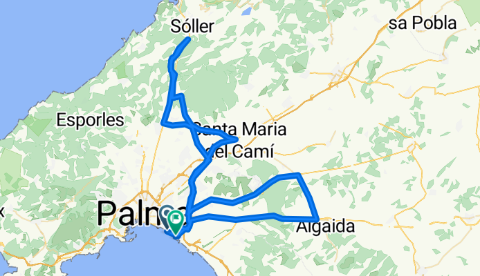 Palma-Sollerno