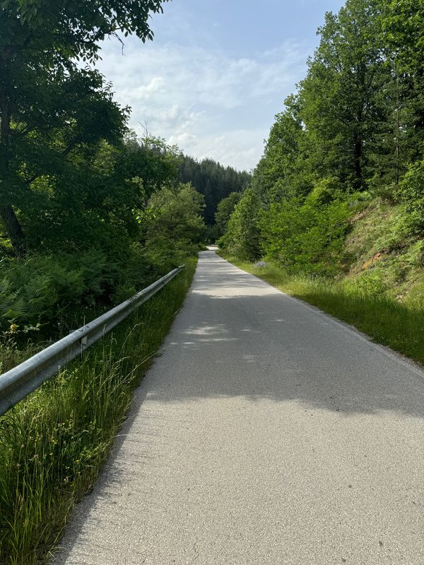 Petrich Cycling