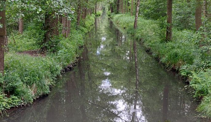 Photo 1 de l’itinéraire Bikemap « Ringchaussee 113, Burg (Spreewald) nach Ringchaussee 113, Burg (Spreewald) »