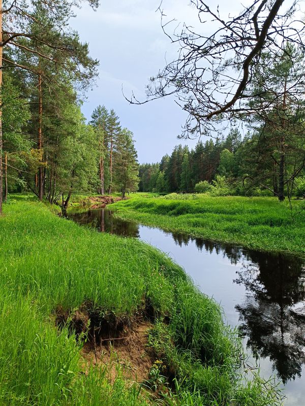 Позднее открытие сезона