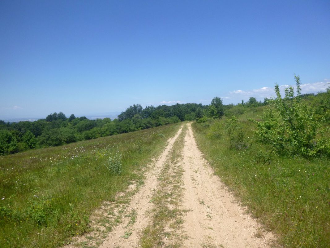 Голема Раковица - вр. Голямата Икуна - с. Бърдо - яз. Огняново