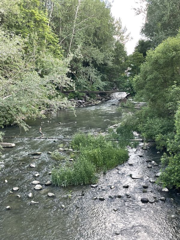 улица Типанова, 29 литТ1, Санкт-Петербург до проспект Славы, 2 к3, Санкт-Петербург