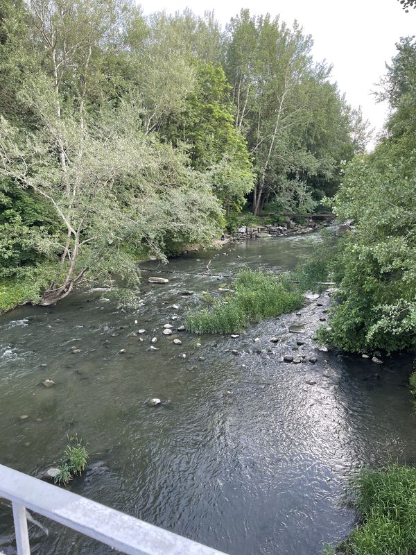 улица Типанова, 29 литТ1, Санкт-Петербург до проспект Славы, 2 к3, Санкт-Петербург