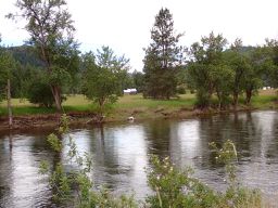 Grand Forks BC to Republic WA