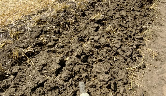 Foto 1 der Bikemap-Route "Начало уборочной 2024 на Кубани"