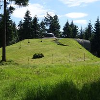 Cesta do Potštejna - Orlické hory